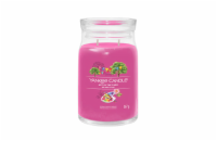 Yankee Candle Art In The Park 567g