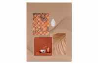 Hama album SINGO II Terracotta 10x15/100