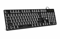 Connect IT Chocolate WhiteStar kancelářská podsvícená klávesnice, CZ/SK - černá Tichá a elegantní klávesnice Connect IT Chocolate WhiteStar CKB-5051-CS s  bílým podsvícením ,  CZ/SK rozložením  a 12 
