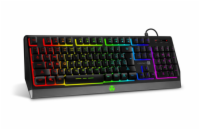 Connect IT Battle RGB herní klávesnice CZ/SK - černá Profesionální herní klávesnice Connect IT Battle RGB (CKB-5600-CS) s CZ/SK rozložením, 11 RGB režimy, anti-ghost funkcí, multimediálními klávesami