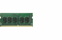 Synology D4NS01-4G