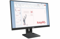 Lenovo ThinkVision/E24-40/23,8"/IPS/FHD/100Hz/4ms/Černá/3R