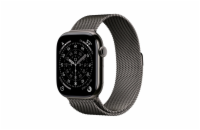 Apple Watch S11 Cell/46/Elegant Band/Slate
