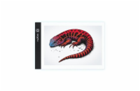 Dětská kreslící deska MAXLIFE MXGT-01