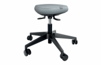 Leitz ergonomická balanční židle pro sezení s kolečky Ergo
