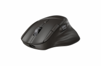 HP Ultra-Fast Scroll Wireless Mouse 785M