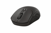 HP 405 Quiet Black Wireless Mouse EURO