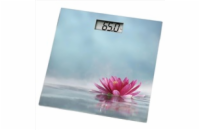 Xavax osobní digitální váha ROSA