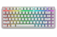 DELL klávesnice Alienware Pro Wireless Gaming Keyboard / US/ Int./ mezinár./ (Lunar Light)