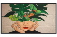65" D-LED Philips 65BDL4511D/00