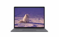 Notebook Microsoft Surface Laptop 4  Notebook - 15 palců, 8 GB, Intel Core i7-1185G7 3.00 GHz, 256 GB NVMe SSD, Windows 11 Pro, 2496 x 1664 px, Intel Iris Xe Graphics, Bluetooth, WIFI, Webkamera, Vad