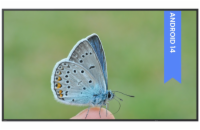 BENQ panel 55" ST5504/ Digital Signage/ UHD 4K/ provoz 18/7/ 2x HDMI/ RJ45/ 2x USB/ Android
