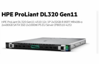 HPE DL320 G11 4510, 64GB, 2 x 480GB SDD